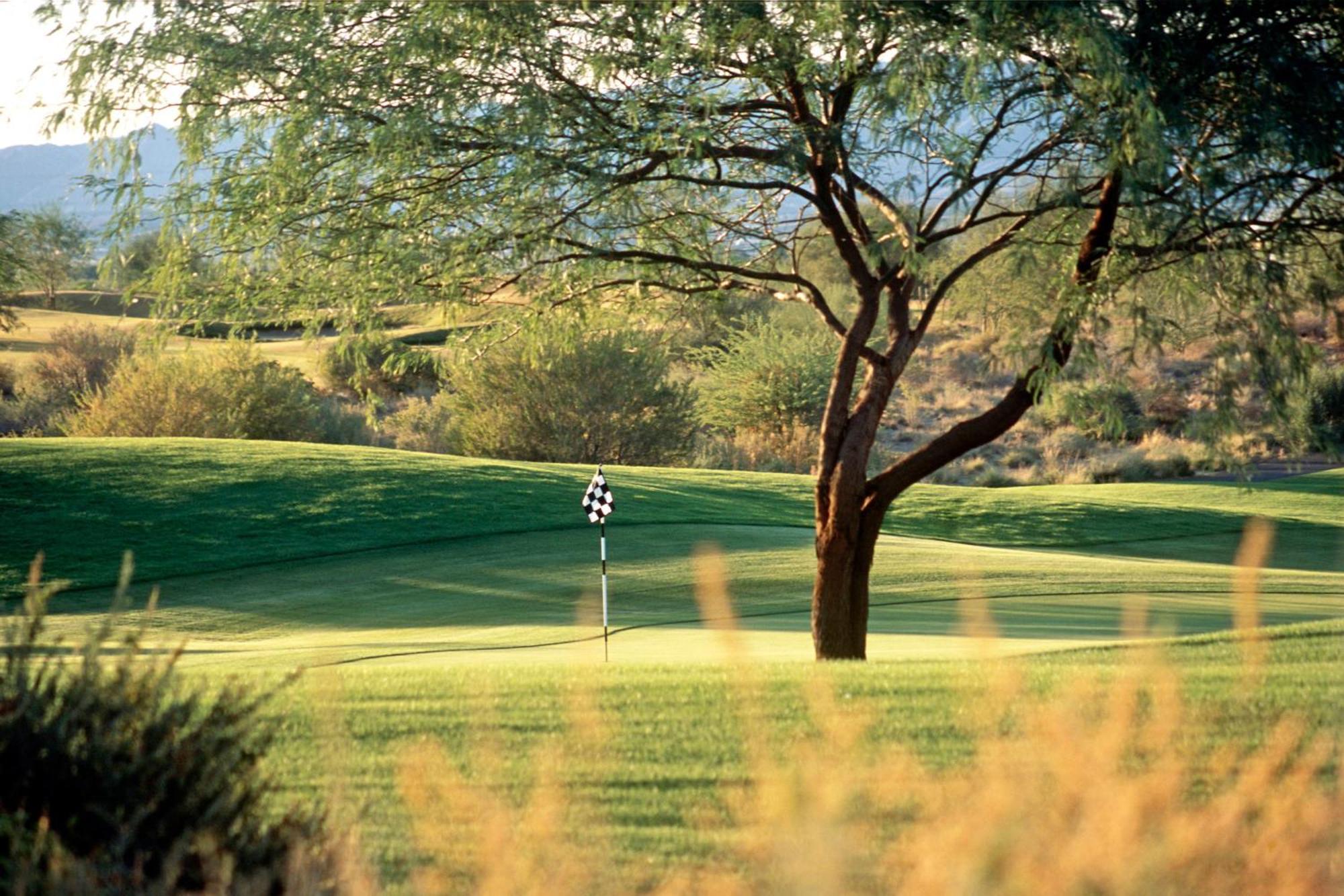 Sheraton Grand At Wild Horse Pass Chandler Eksteriør bilde